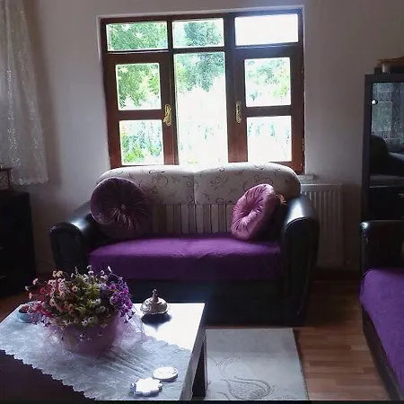 Villa 174890 - Atta Sapanca