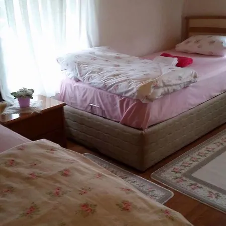 174890 - Atta Villa Sapanca